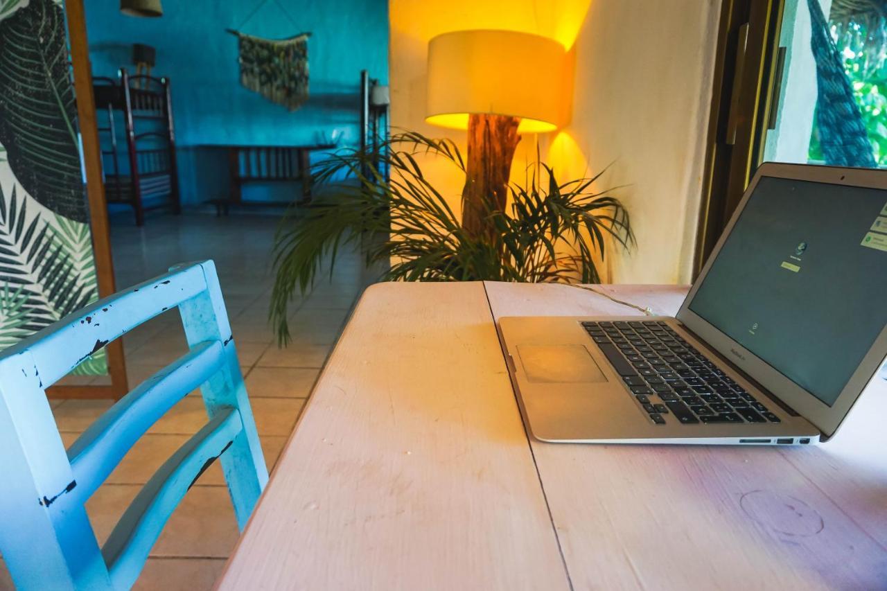 Blue Pepper Beds Sayulita Hostel Екстериор снимка